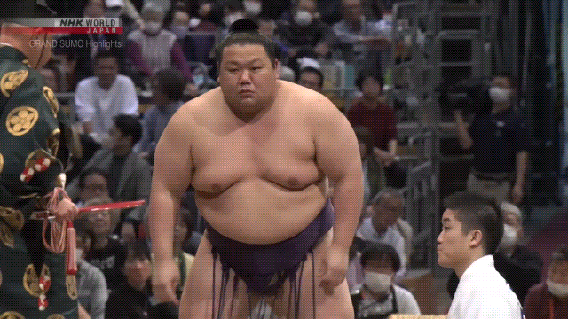 Sumo Stomp! | Tim Bissell | Substack