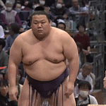 Sumo Stomp! | Tim Bissell | Substack