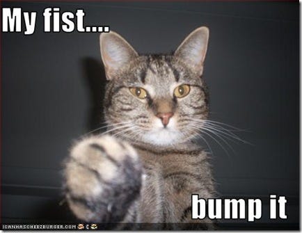 funny-pictures-cat-offers-fist funny-pictures-cat-offers-fist