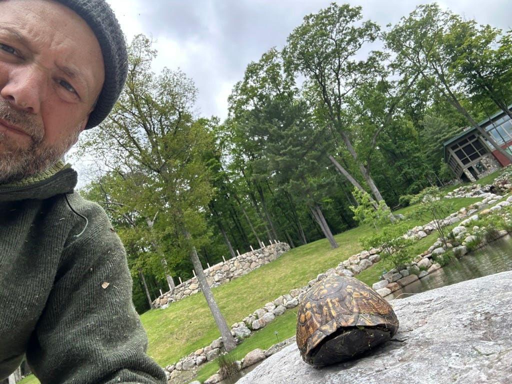 A person taking a selfie with a turtle

AI-generated content may be incorrect.
