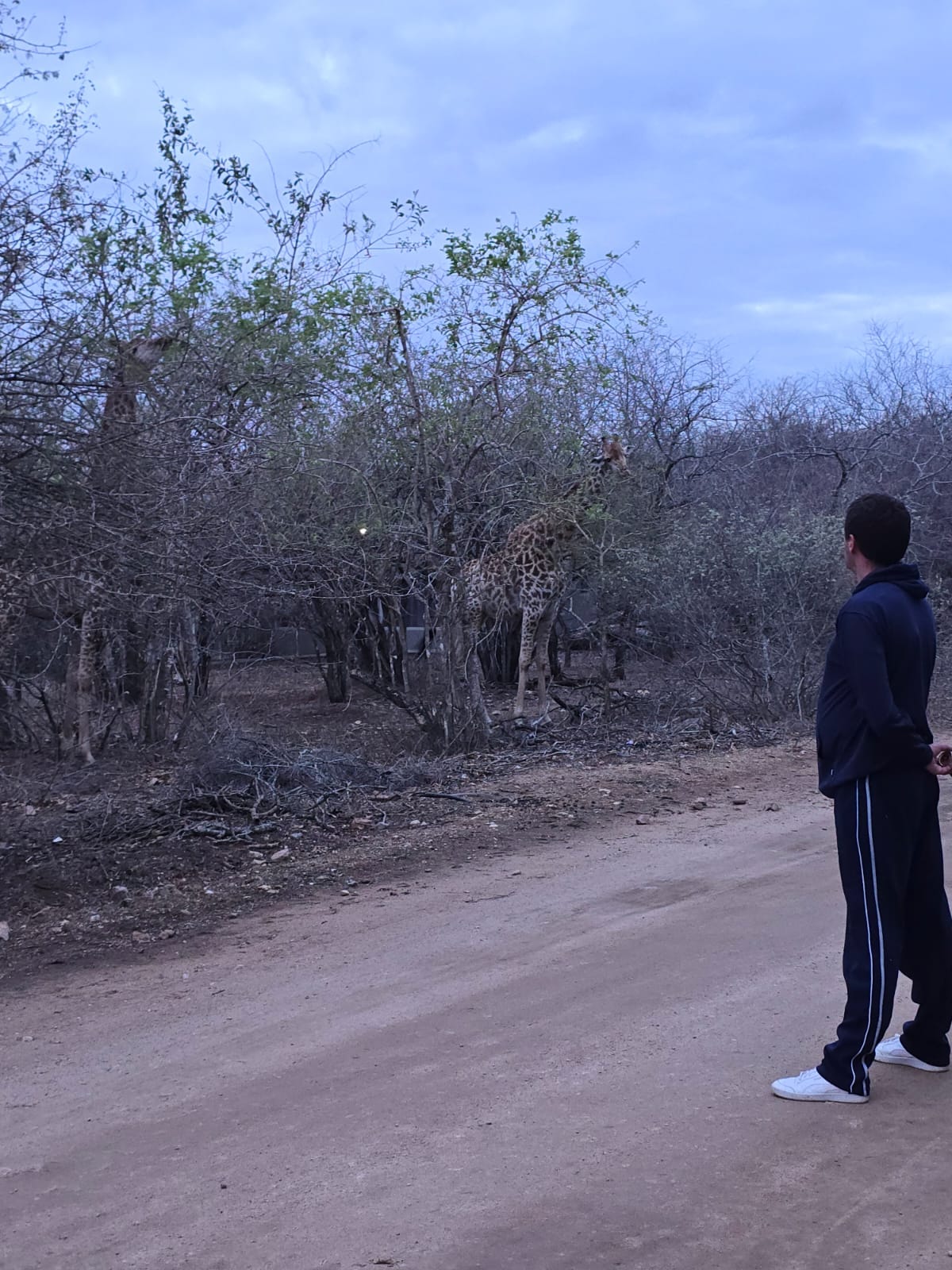 just me with a giraffe