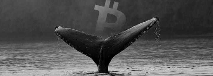 A big Bitfinex Bitcoin whale is anticipating a severe correction, will he be right? A big Bitfinex Bitcoin whale is anticipating a severe correction, will he be right?