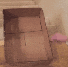 a cat is playing in a cardboard box on top of stairs a cat is playing in a cardboard box on top of stairs