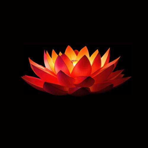 Happiness Reimagined: Seeking Courage, Love, and Meaning