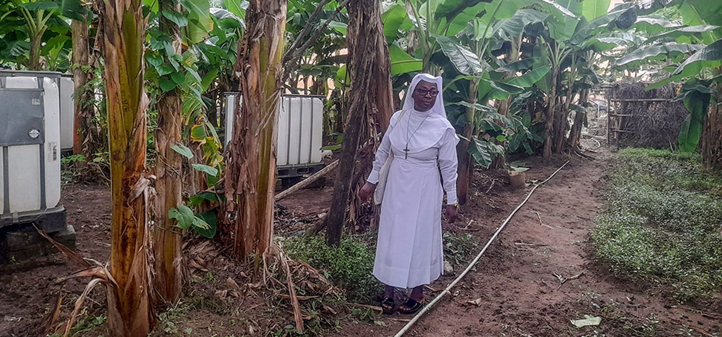 Article content Article content