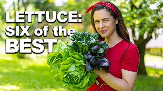 Home Gardening With True Food TV - YouTube