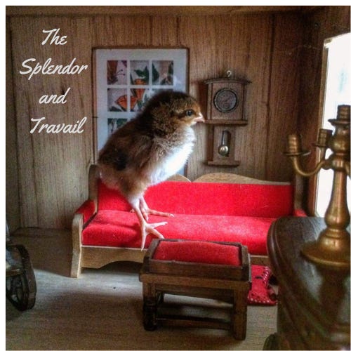 The Splendor and Travail