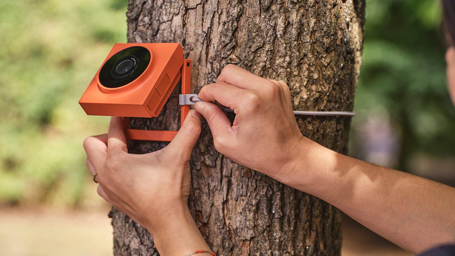 Behold Cam-1 Launched on Kickstarter - Easy-to-Use Compact Wildlife Camera  | CineD