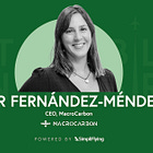 The scientist who could turn seaweed into sustainable jet fuel — and a billion-dollar climate solution