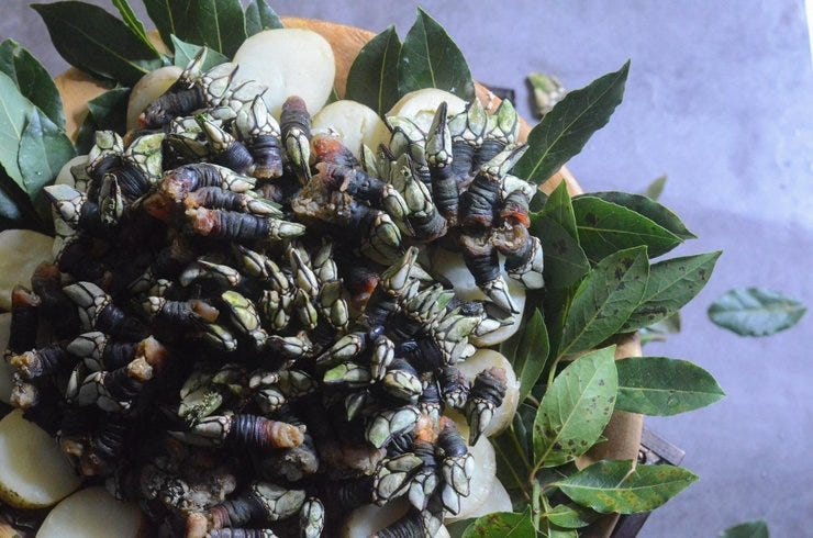 Un ramo de percebes en la primera cita y me tienes en el bote
