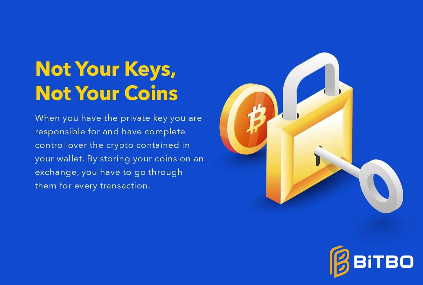 Not Your Keys, Not Your Coins Meaning & Definition