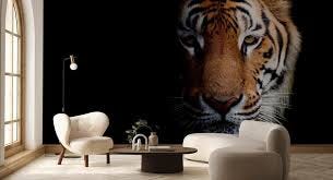 Tigers – trendy wall murals – Photowall