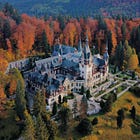 Drac tracking in Transylvania