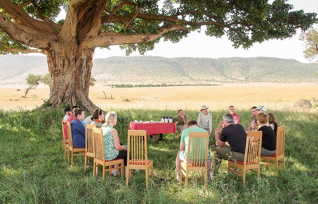British afternoon tea in the Serengeti. British afternoon tea in the Serengeti.