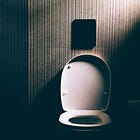 Republicans Propose National Ban on Flushing Abortions