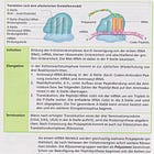 Haben wir es teilweise vielleicht mit einer Ribosomopathie zu tun?