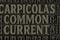 Carpicola's Common Current