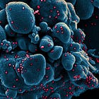 How SARS-CoV-2 Fragments Fuel Long-Term Disease