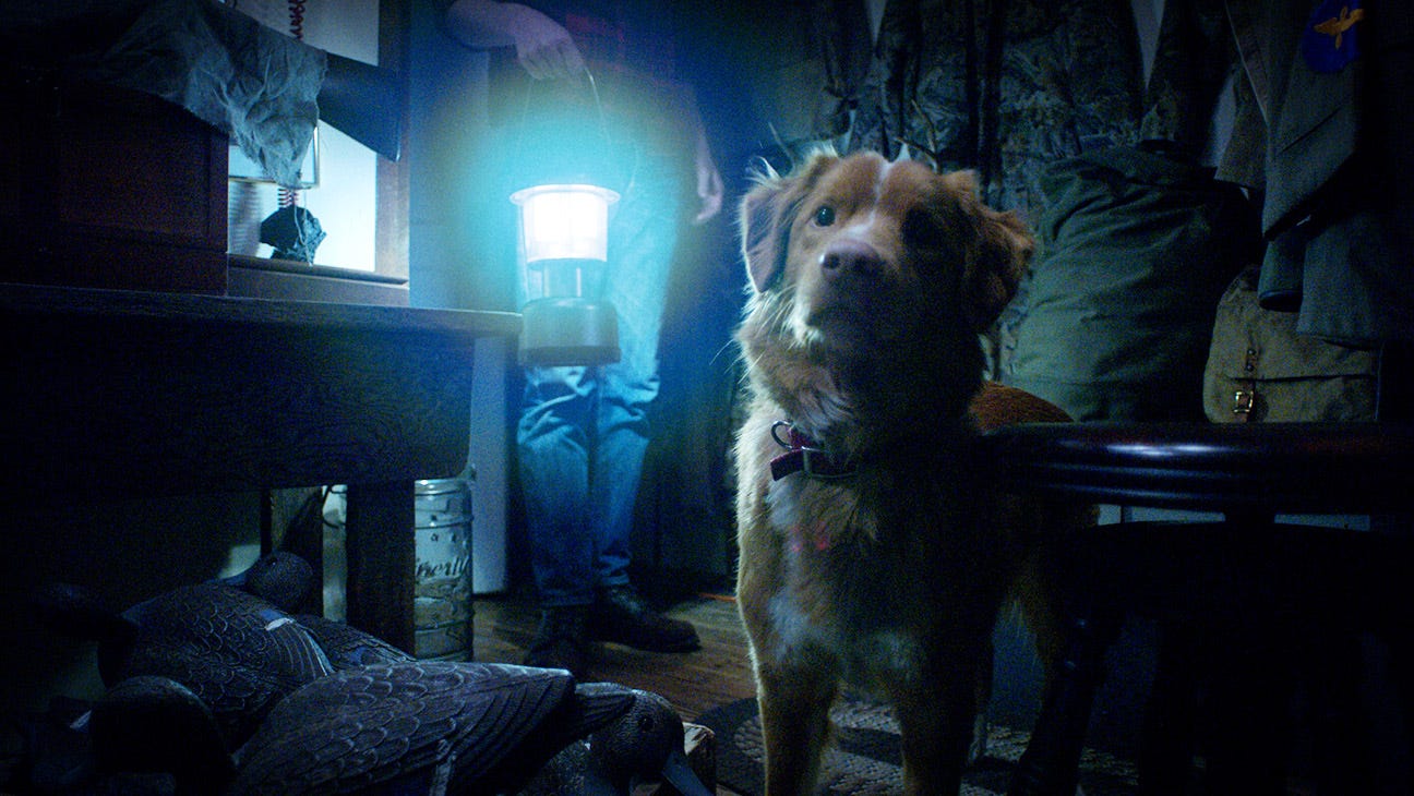 Good Boy' Review: A Horror Film Told Through a Dog's Eyes