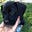 AvidReader's avatar
