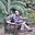 Carole Alcock's avatar