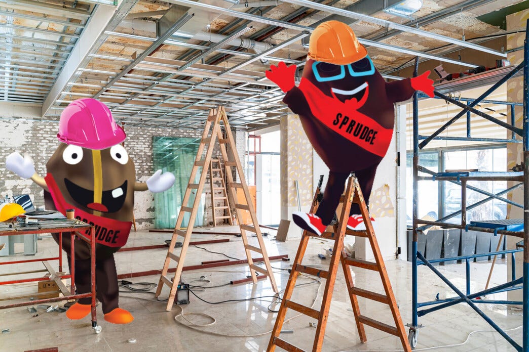 buzzy-and-spesh-build-out