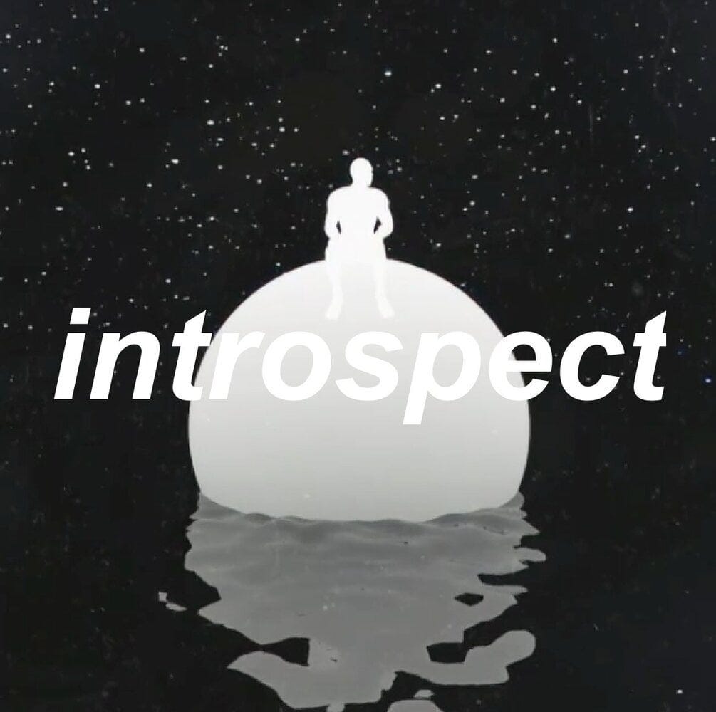 INTROSPECT