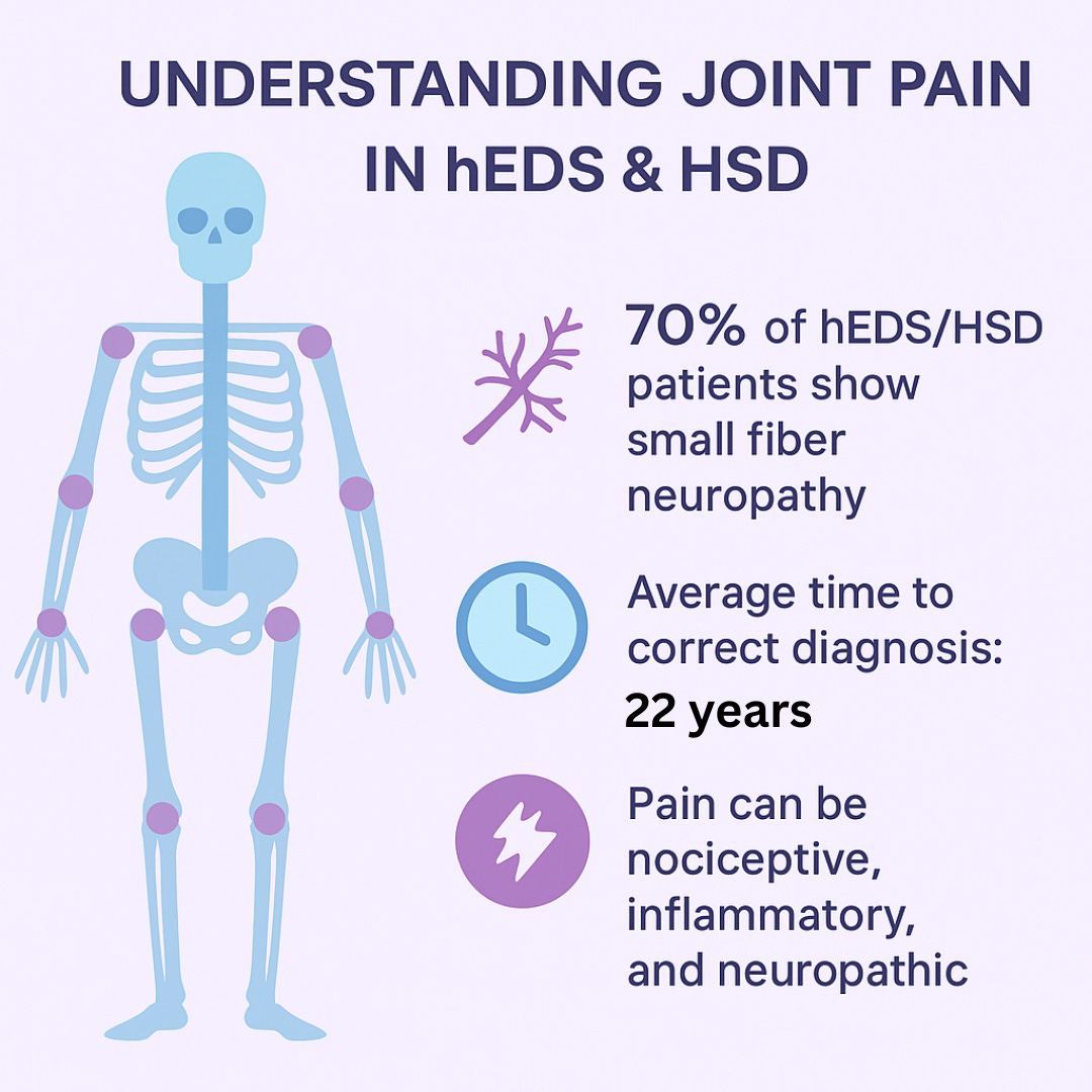 Purple background with a blue human skeleton illustration. Heading reads “Understanding Joint Pain in hEDS and HSD.” Text highlights that up to 70% of hEDS/HSD patients have small fiber neuropathy, the average time to correct diagnosis is 22 years, and pain can be nociceptive, inflammatory, and neuropathic.