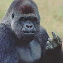 The Descent into Madness Precedes the Climb Back Out