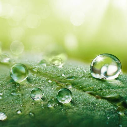 Samantha Radford logo