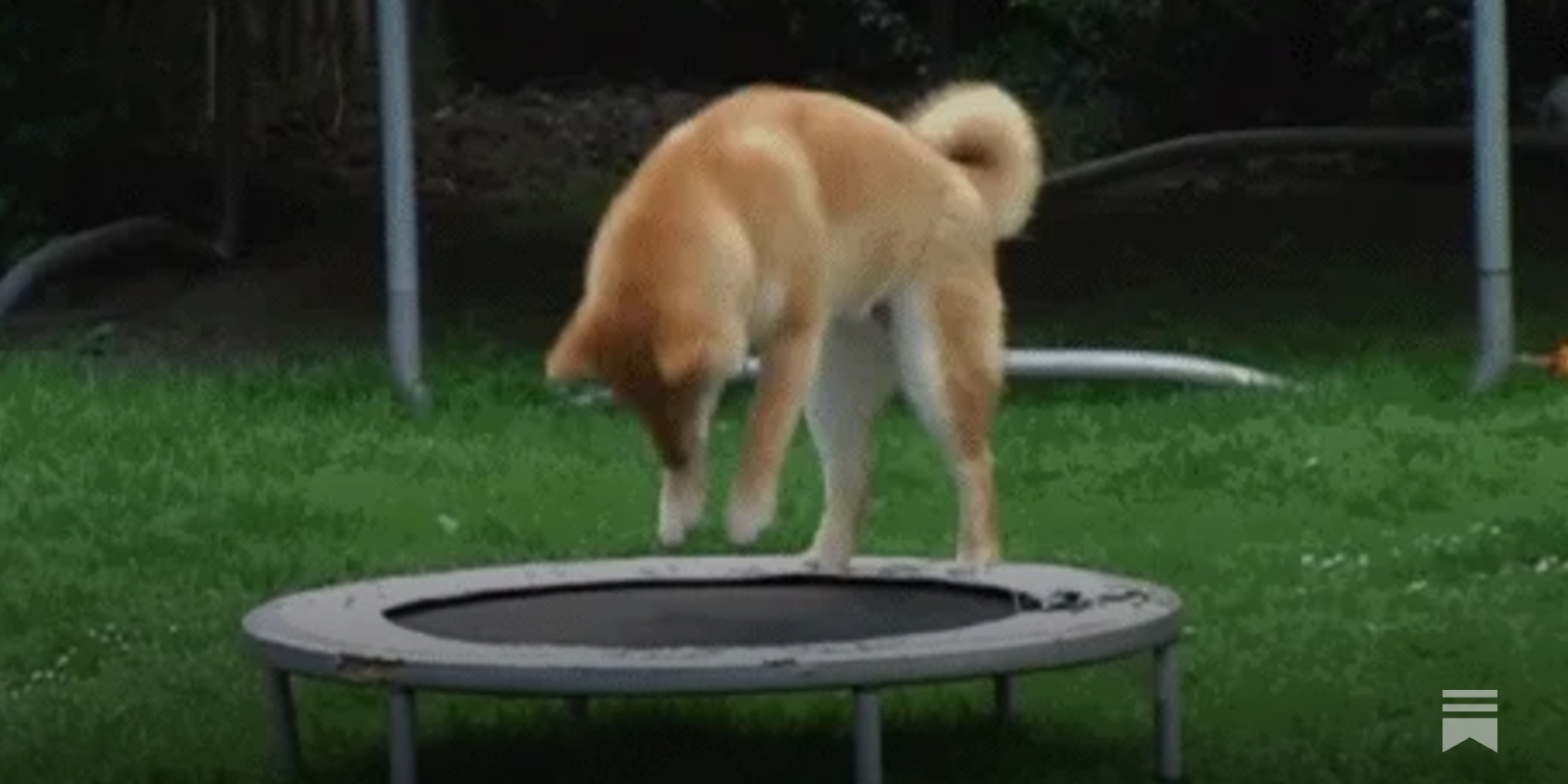 The Cashout: US Sportsbooks Are Rebounding In January, image size:1600x800