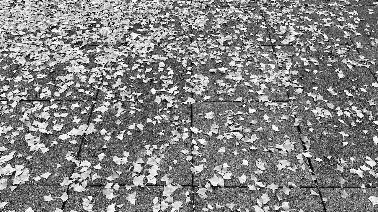A black-and-white photo of scattered leaves unevenly covering a grid of square paving stones, creating a textured autumn scene.