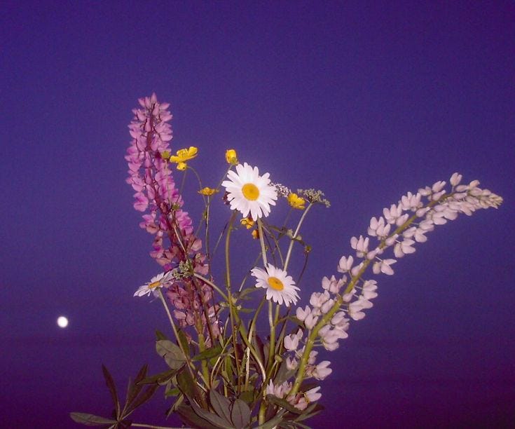 This may contain: a vase filled with flowers on top of a table next to a moon lit sky