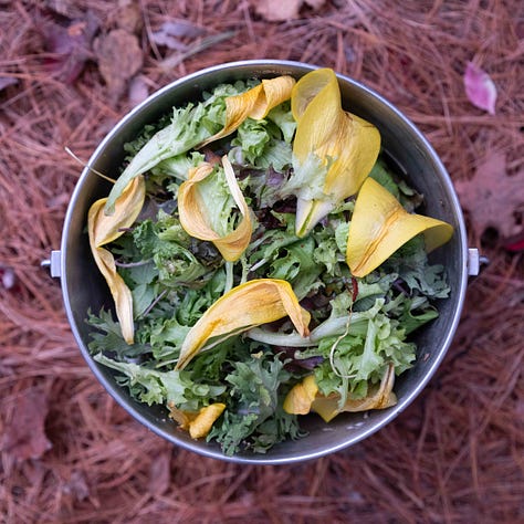 A grid of nine tin buckets of compost.