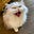Dorie's avatar