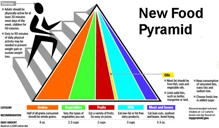 US food pyramids and recommendations