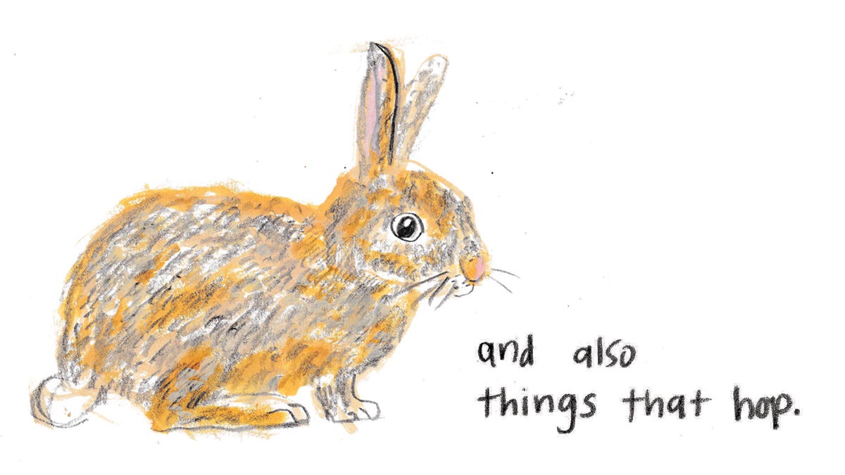 bunny illustration