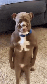 Ai Slop Meme - Ai Slop - Discover & Share GIFs