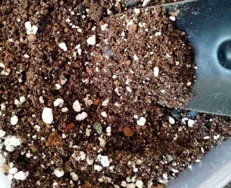 Rooting Mixes Broken Down