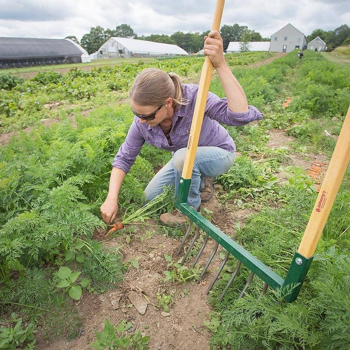 no till garden tools