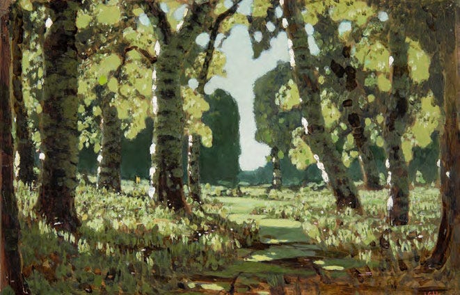 Sunlit white birch trunks against a dark green forest and a bright clearing Sunlit white birch trunks against a dark green forest and a bright clearing