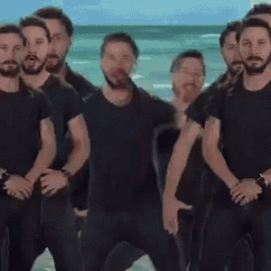 Shia Labeouf GIF - Shia Labeouf GIFs