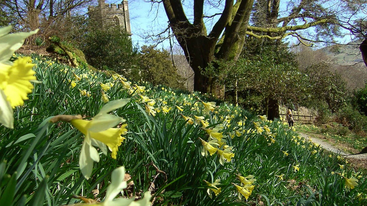 Wordsworth Trust Opens Public Garden at Rydal Mount