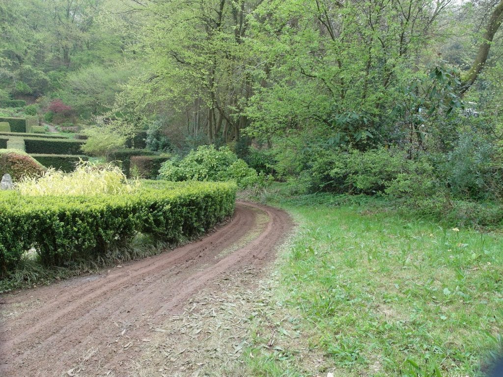 May, early 2014 Veddw Copyright Anne Wareham 