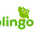 Duolingo in an 80% Drawdown