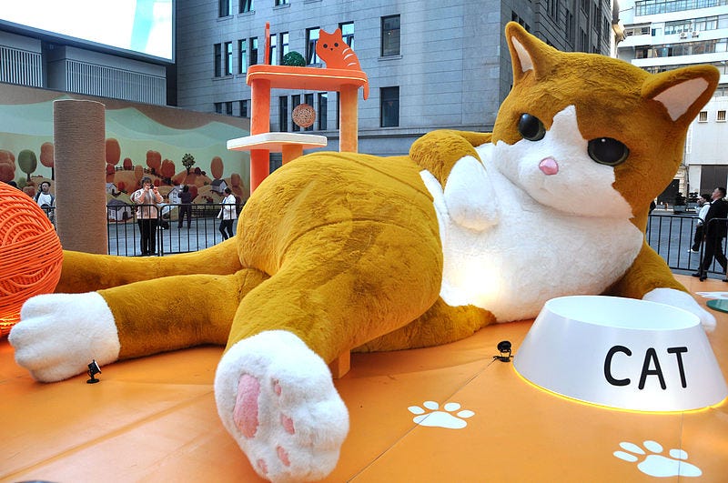 Giant 'cat' grabs the spotlight in Shanghai - CGTN
