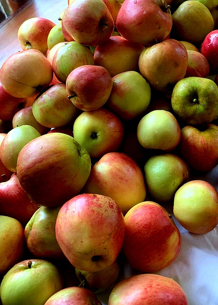 Not Pink Lady apples