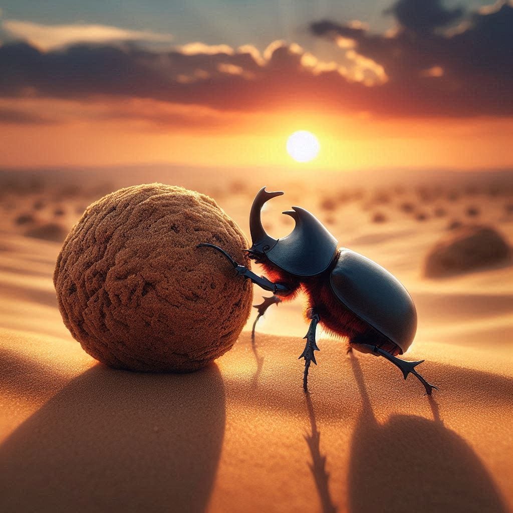 Darwin on investing: A dung beetle