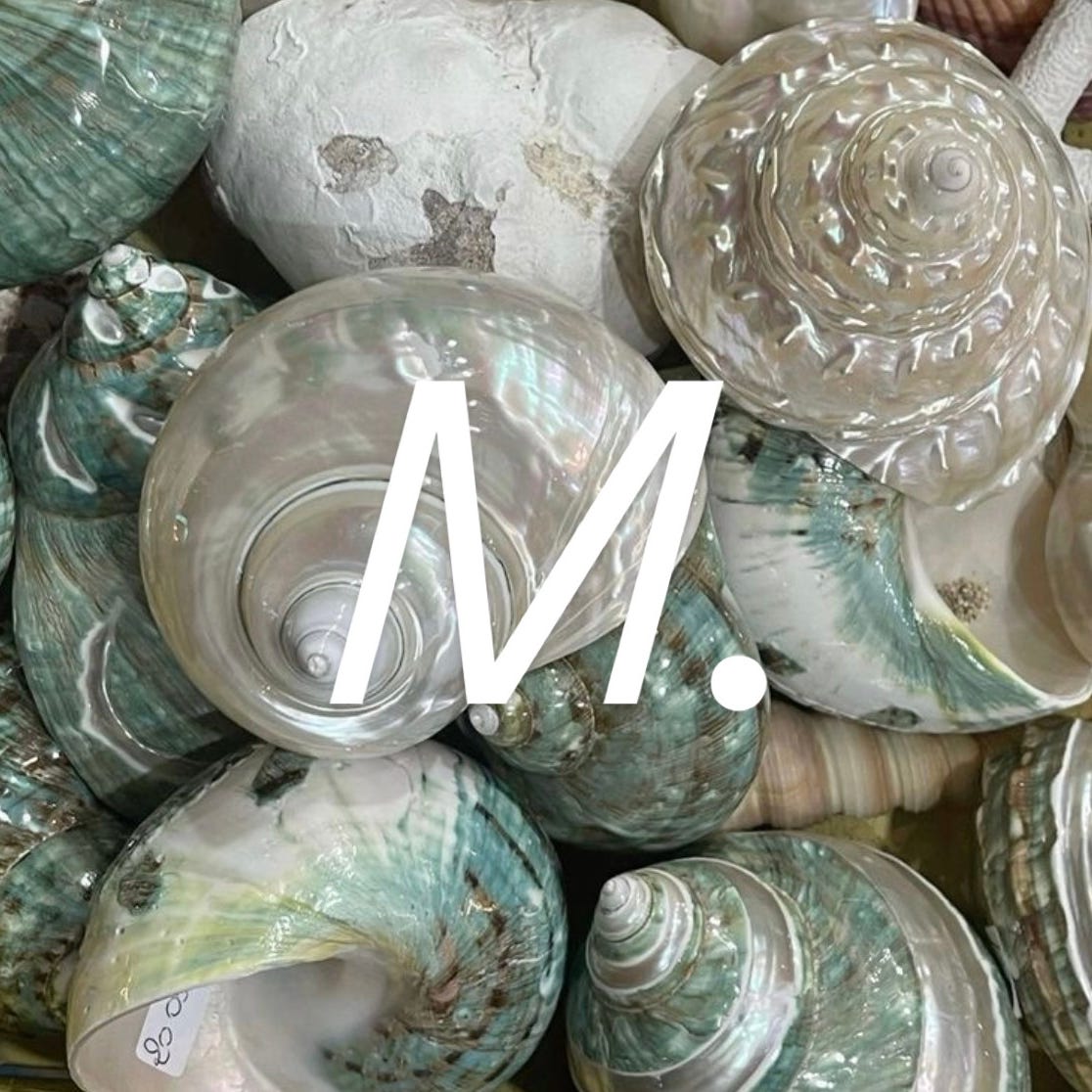 the moonbeam journal