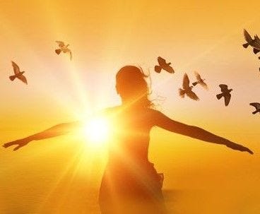 No photo description available. No photo description available.